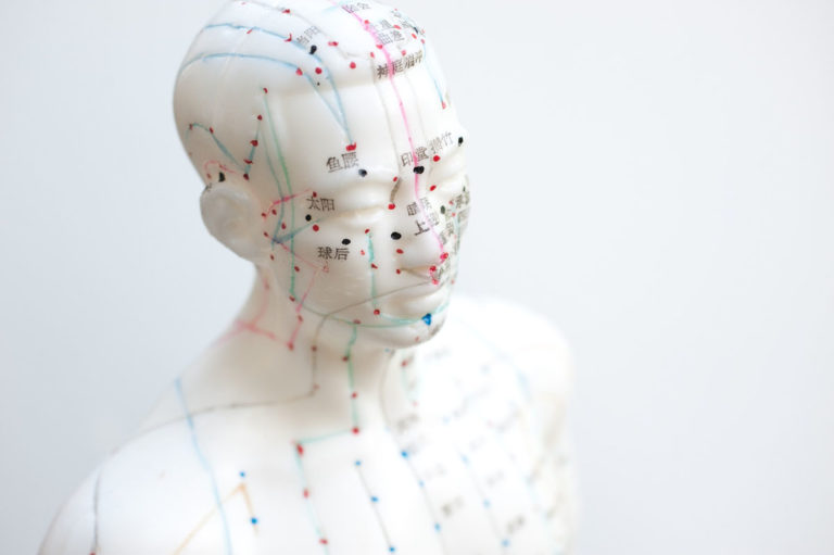 mannequin showing meridians used for acupuncture